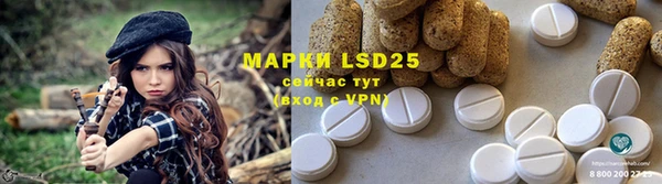 хмурый Белокуриха