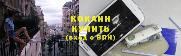 хмурый Белокуриха