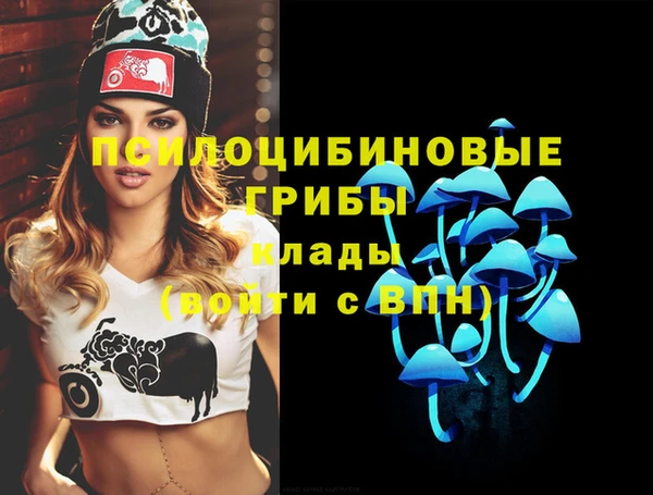 хмурый Белокуриха