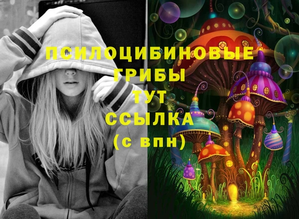 хмурый Белокуриха