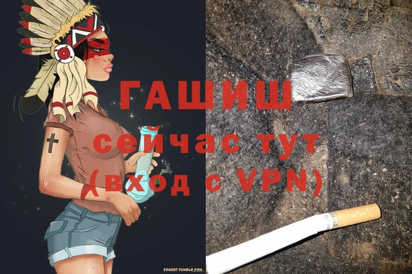 хмурый Белокуриха