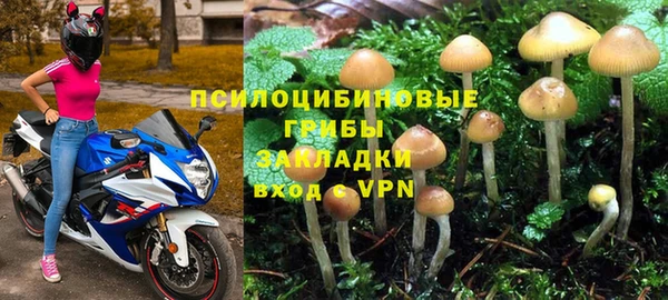 ALPHA PVP Беломорск